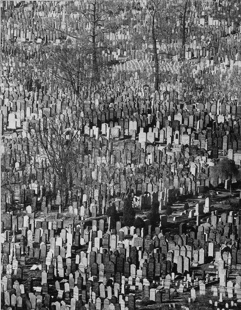 Jewish cemetery, Brooklyn, New York City, 1952.