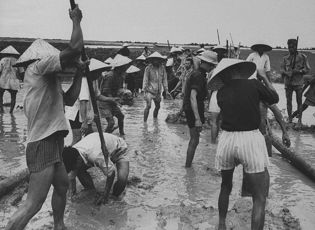 Rice farmers building improvised dam to keep floodwater from their rice fields, 1961.
