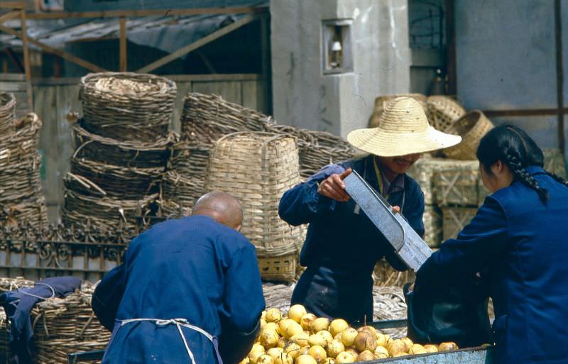 Fruit stall selling pears