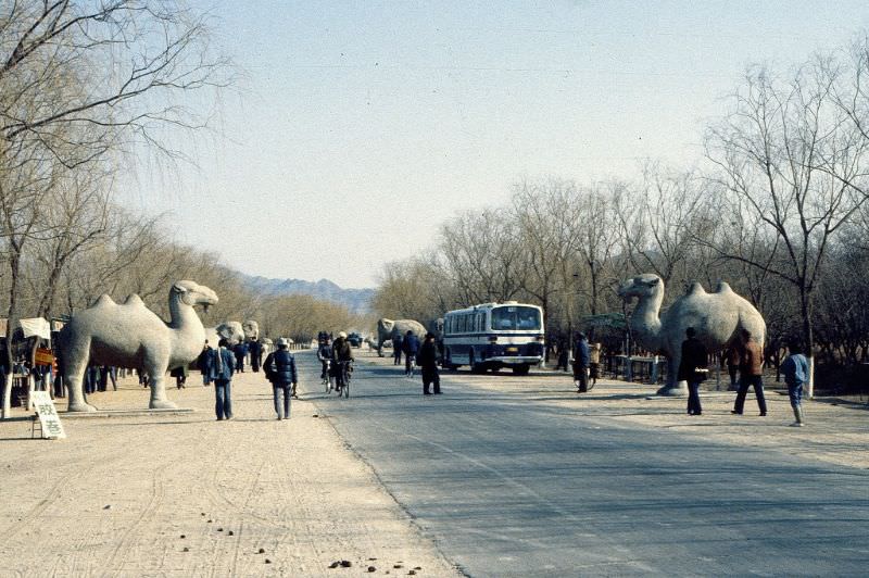 The Sacred Way of Beijing Ming Tombs