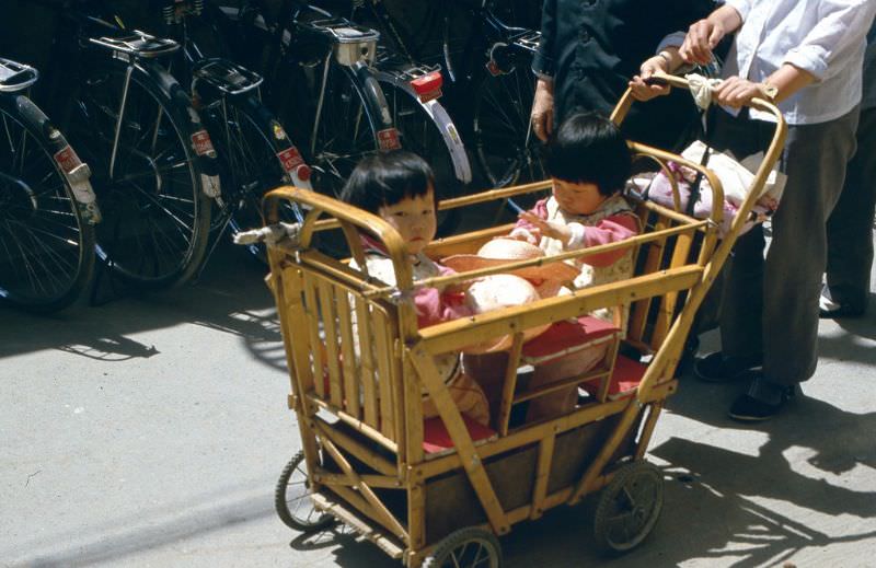 Twins in a stroller