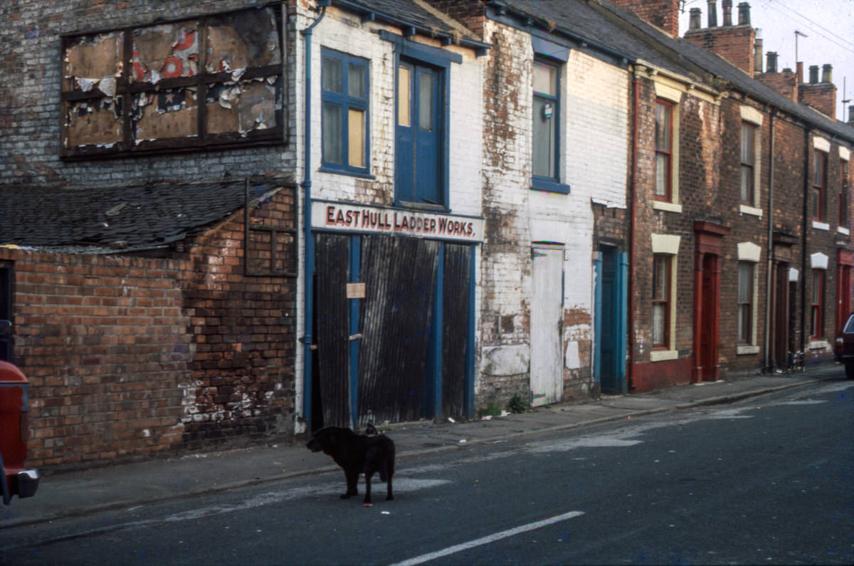 East Hull Ladder Works, Hull 1981