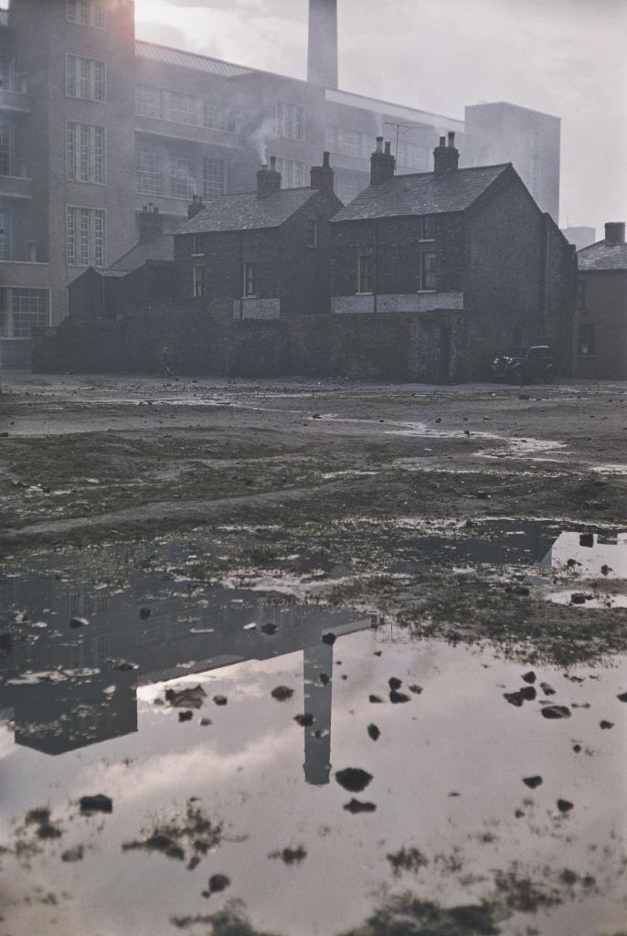 Waste ground behind houses in Belfast, 1955.