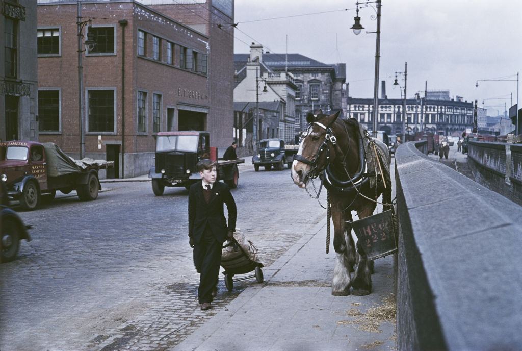 A delivery boy passing a carthorse, Belfast, 1955.