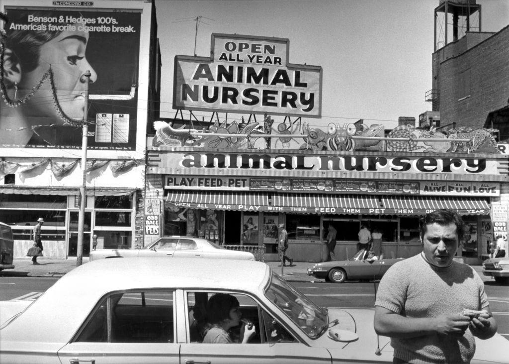 Surf Avenue in Brooklyn's Coney Island neighborhood, 1973.