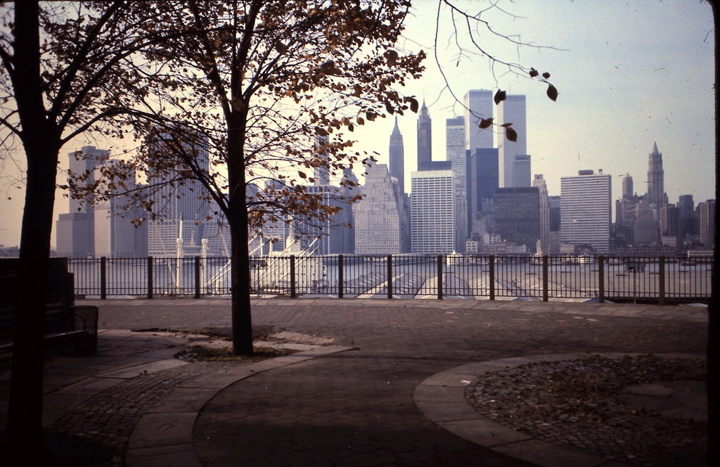 Columbia Heights, Brooklyn, 1975