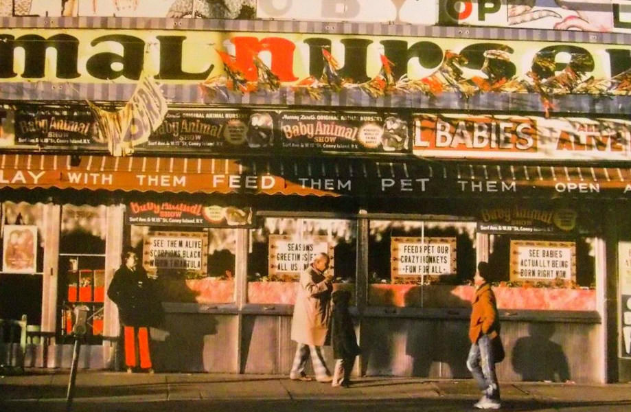 Outside Animal Nursery, Coney Island, 1973