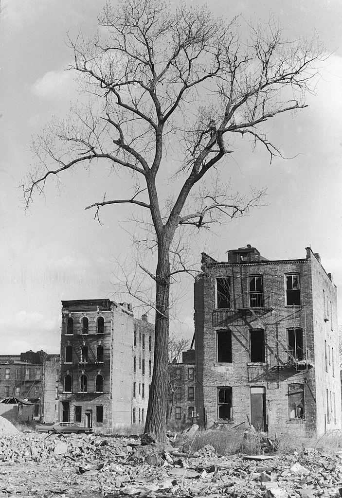 Abandoned apartment buildings across a vancant lot full of debris in the Brownsville neighborhood of Brooklyn, 1971.
