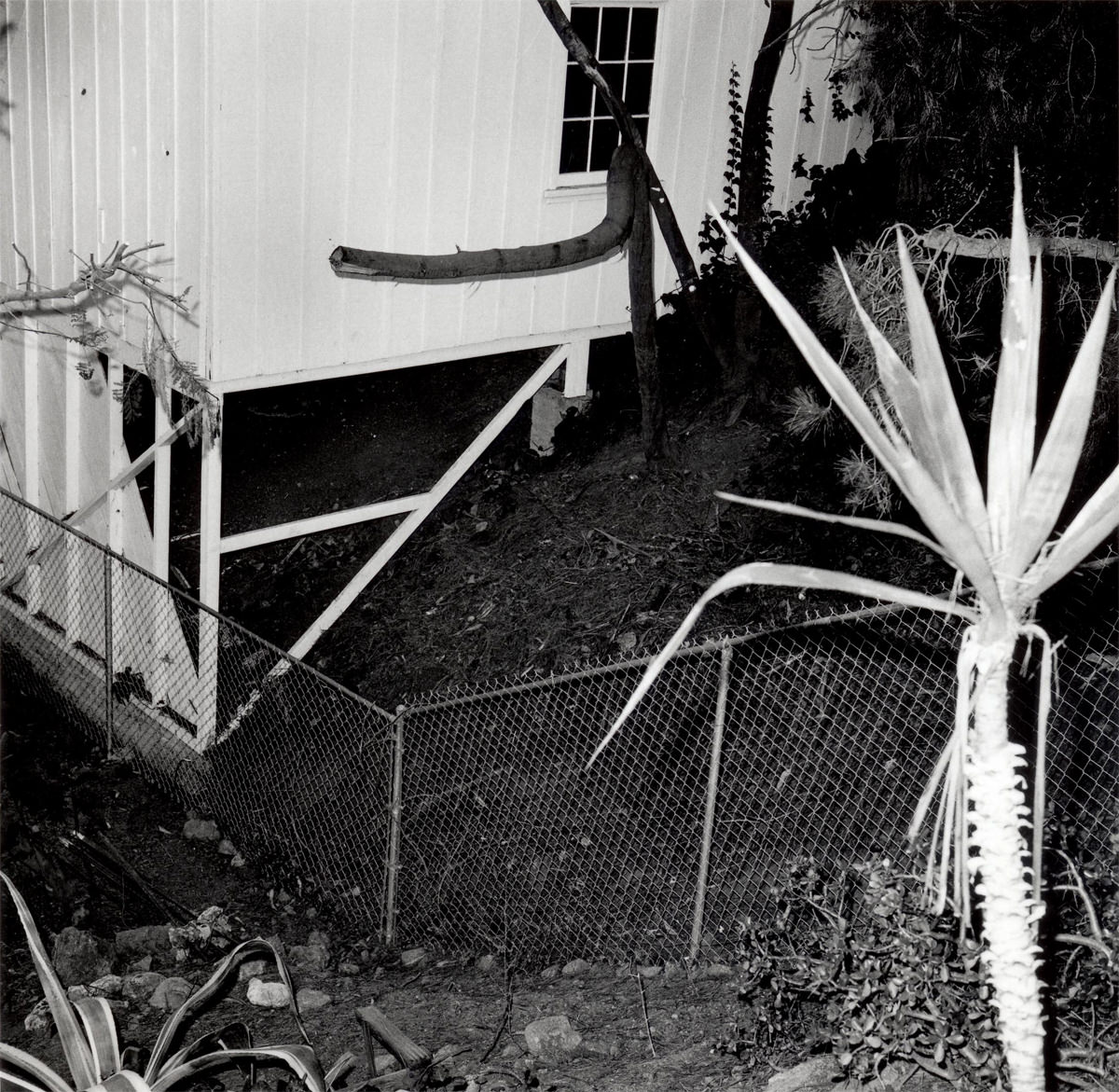 Evidence: A Found Photography Project that Shows Mysteries in Mundane, 1977