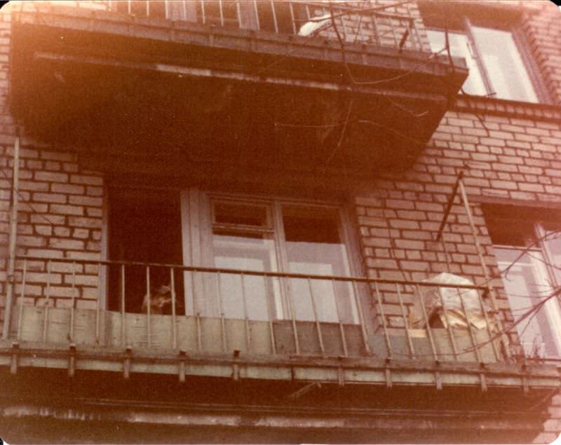 Apartment with large dog, Leningrad, 1977