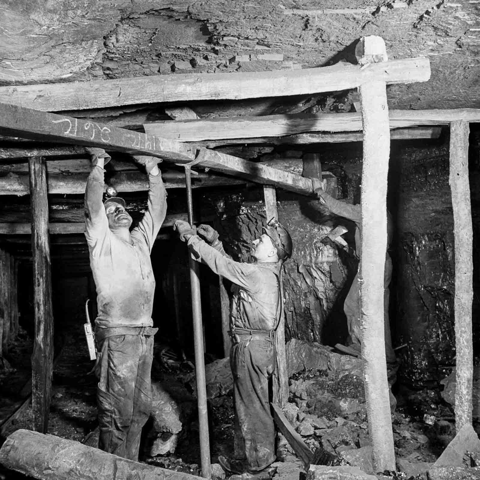 Miners install timber supports.