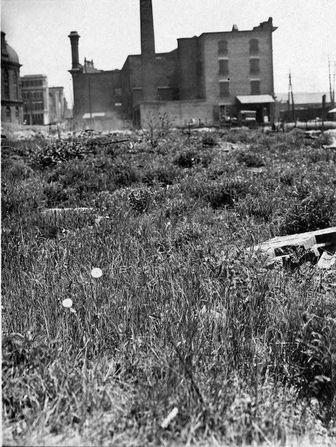 Toronto fire ruins grown over with weeds.