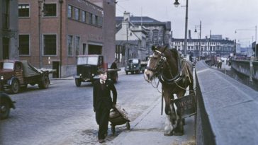 Belfast 1955