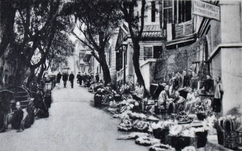 Wyndham Street, where flowers are sold