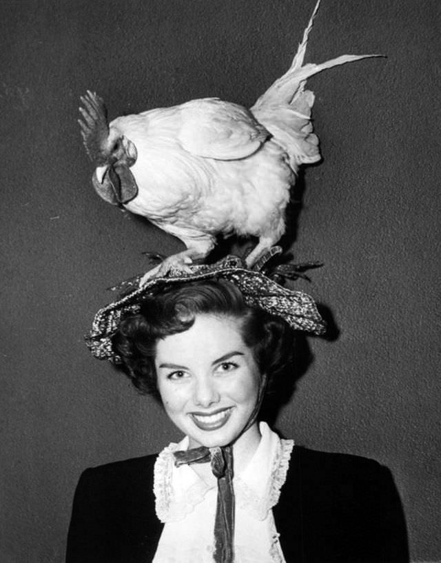 Strange Birds Hats for Women from the Early 1900s