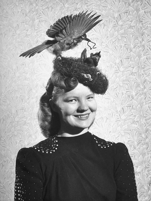 Strange Birds Hats for Women from the Early 1900s