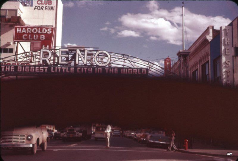 Reno through a steering wheel