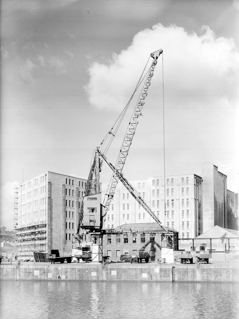 Dock Crane at Canons Marsh 1960.