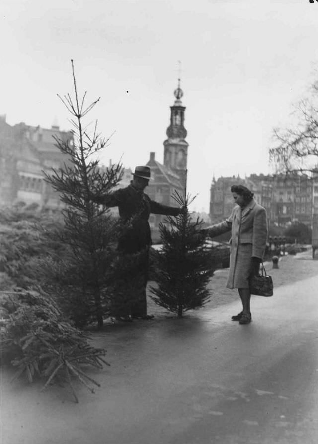Christmas trees sale at the Singel, Amsterdam. December 7, 1946
