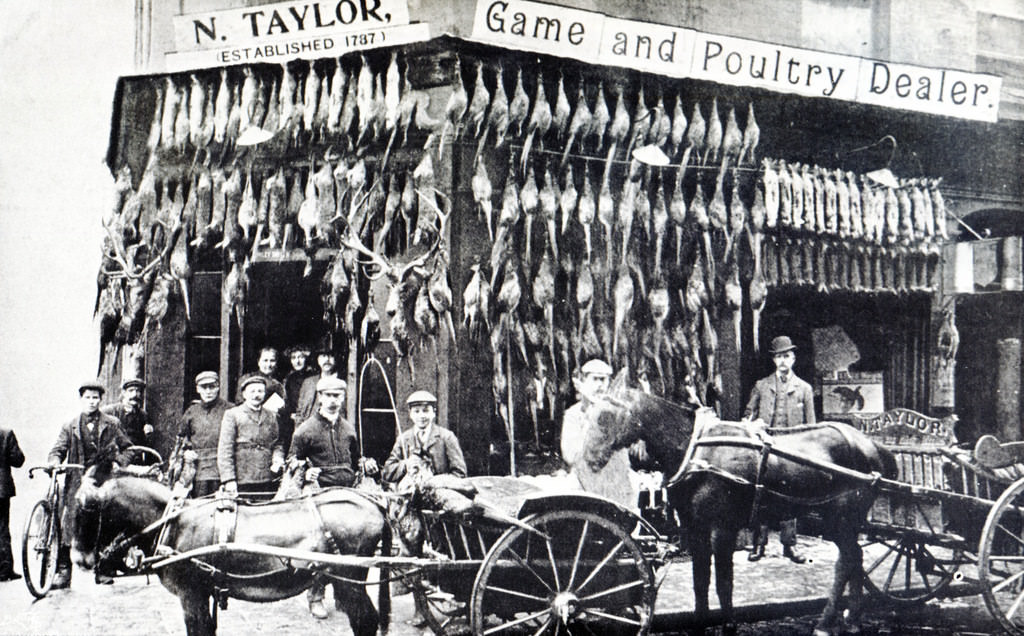 N.Taylor game and poultry dealer with all its fresh birds on display, Nicholas Street, 1899
