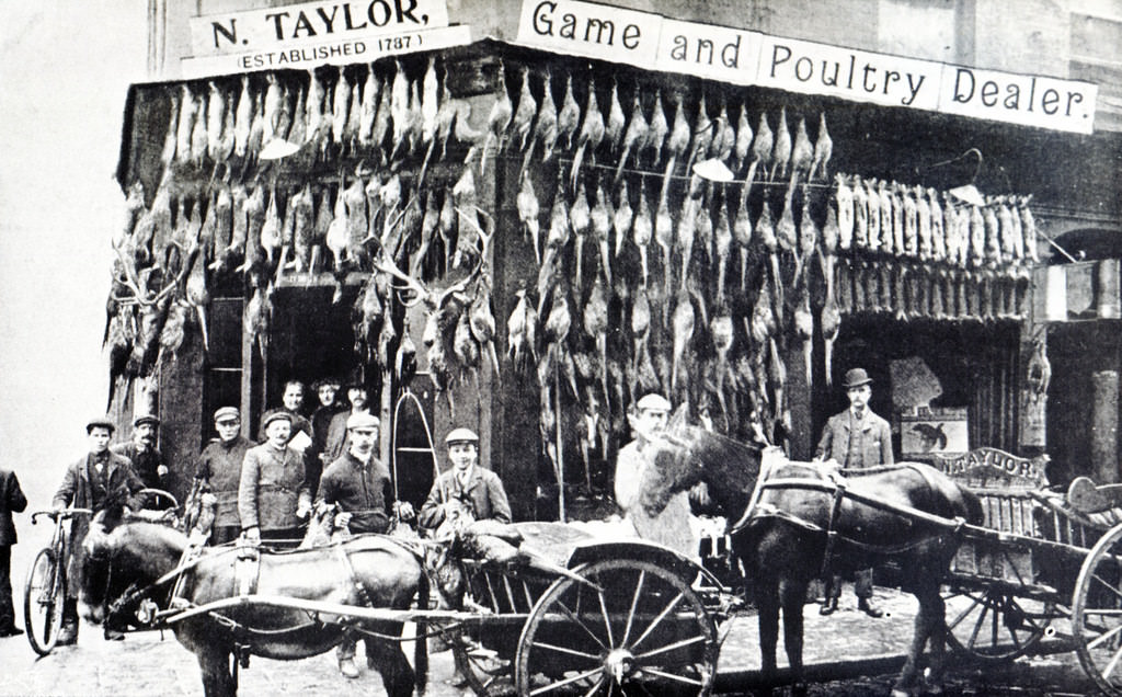 N.Taylor game and poultry dealer with all its fresh birds on display, Nicholas Street, 1899