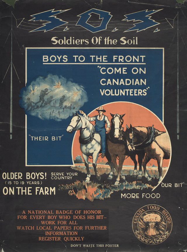 Recruitment poster for “Soldiers of the Soil”, boys 15-19 years who worked on farms during the summer months, as part of the war effort (WW1)