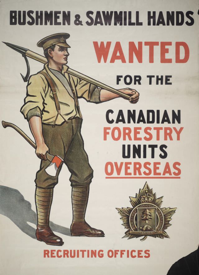 Bushmen & Sawmill Hands Wanted For the Canadian Forestry Units Overseas Recruiting Offices