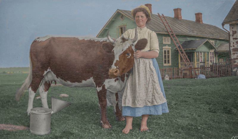 A woman and a cow in Finland in 1910