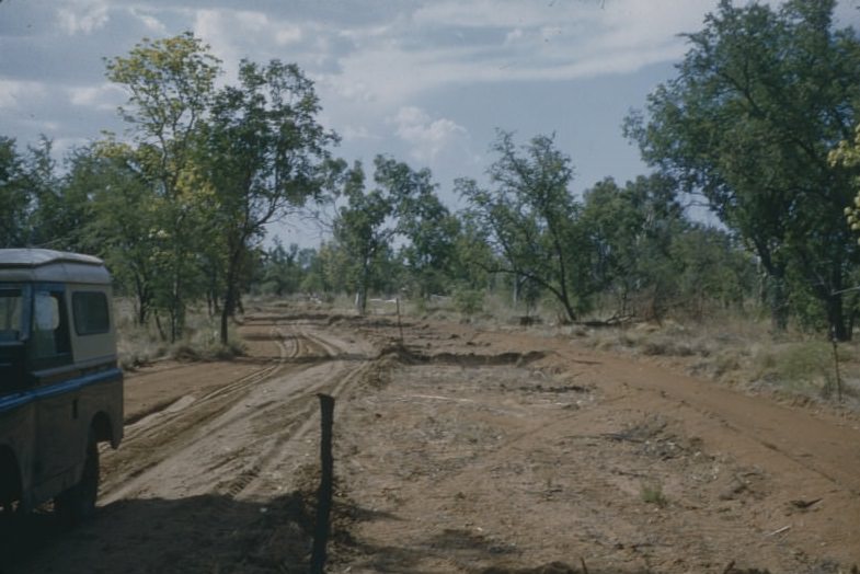 Town Kununurra Marking out Coolibah Drive, Ord River Irrigation Area, November 1959