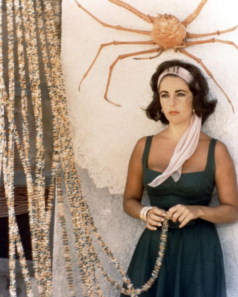 Elizabeth Taylor on the set of "Suddenly Last Summer," 1959.