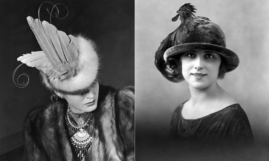 Strange Birds Hats for Women from the Early 1900s