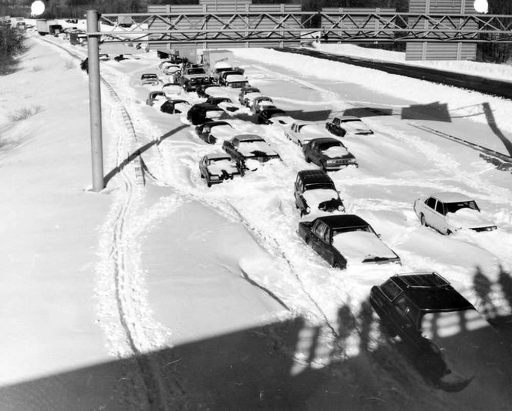 Vehicles stranded in the snow in the southbound lanes of Route 128 in Needham, after the Blizzard of 1978.