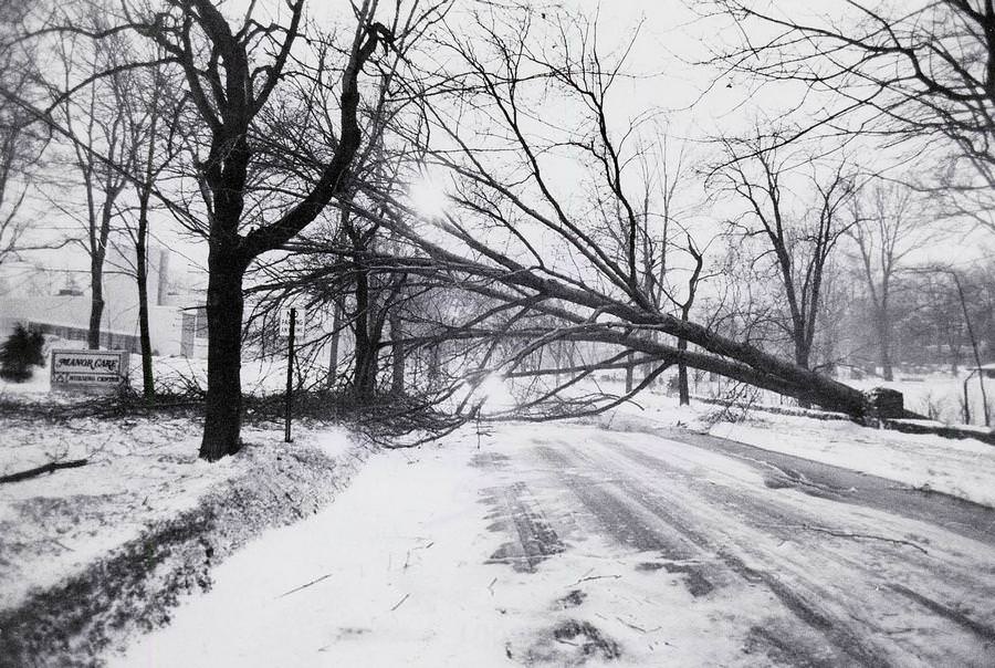 A fallen tree blocks West Market Street at Manor Care Nursing Home. The 1978 storm knocked out power, heat and phone service to thousands across Northeast Ohio.