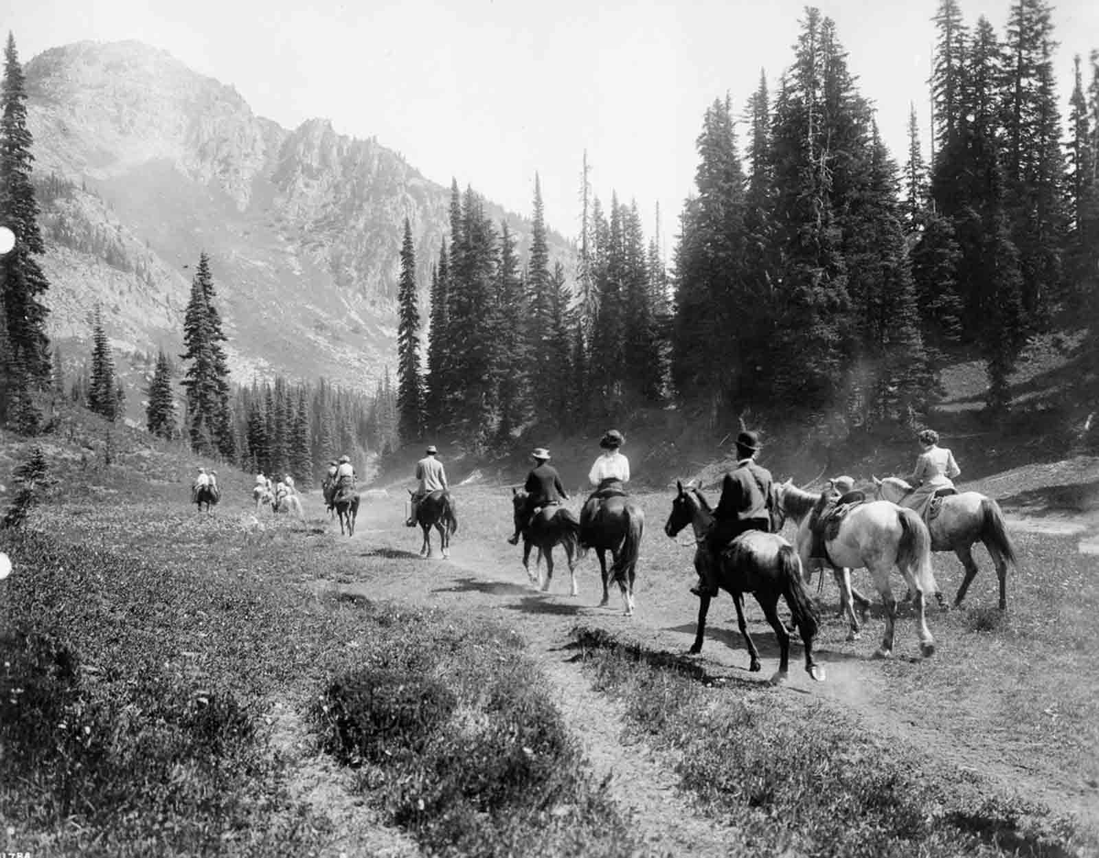 Tourists ride through Mt. Rainier National Park, 1909.