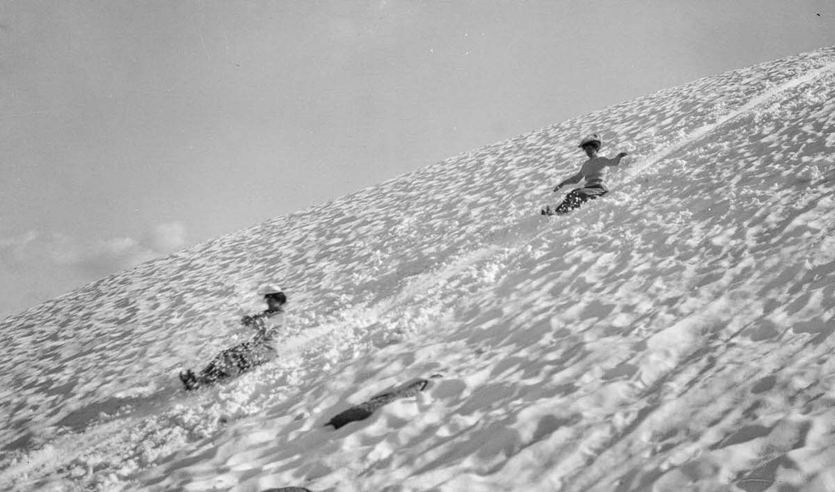 Tourists slide down a slope in Yosemite, 1903.