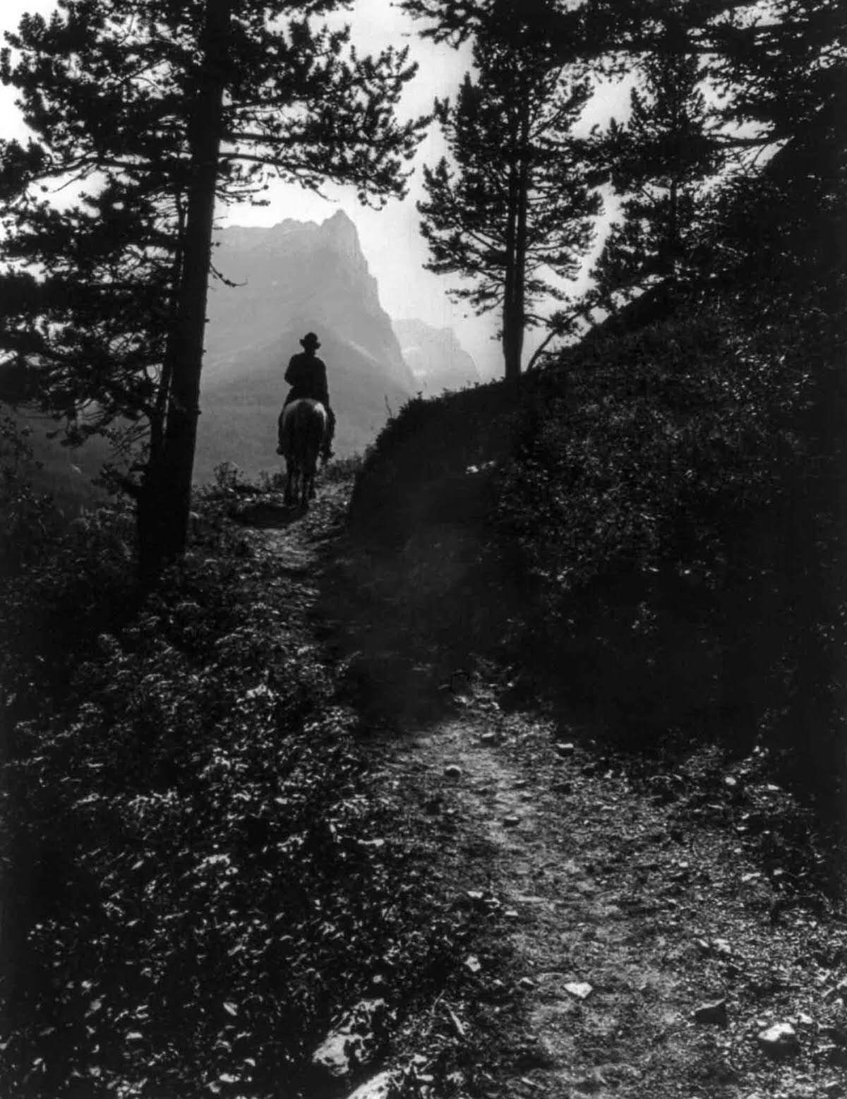 A rider on a trail at Glacier National Park, 1916.