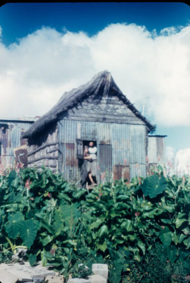 Dona Matilda's house, Cuchilla