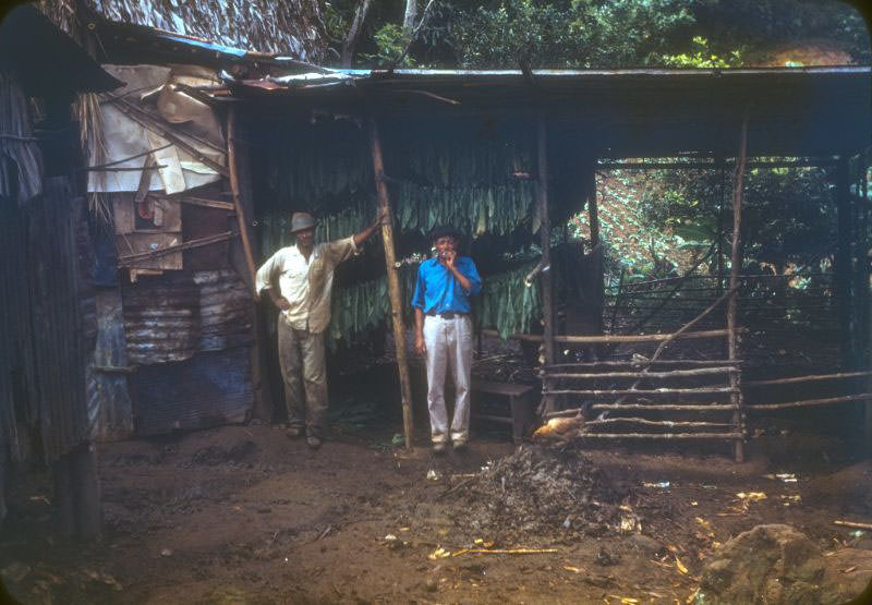 Drying tobacco