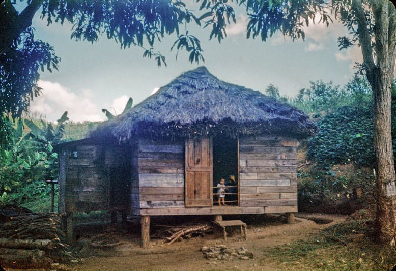 House with child looking out door