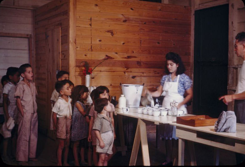 Milk station, woman fill glasses on table for children, lined up