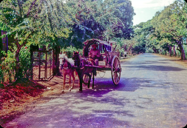 Ponce wagon