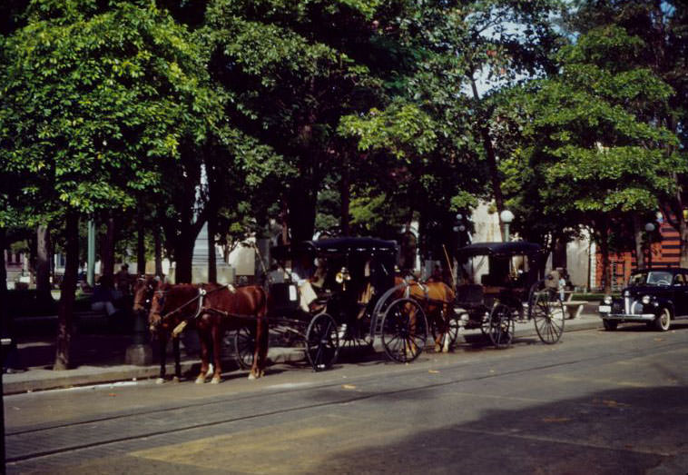 Horse taxis, fire station, Ponce