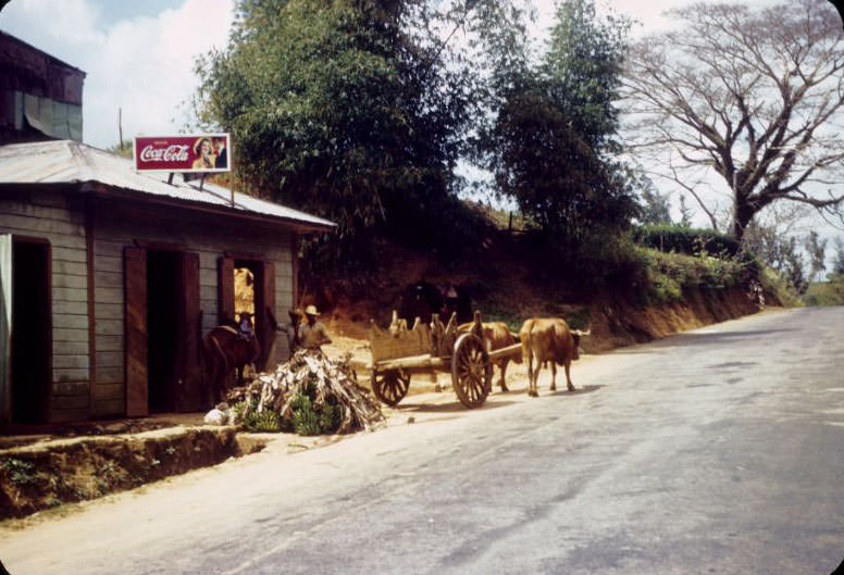 Roadside store and ox cart