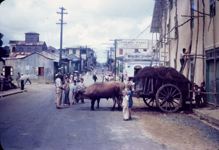 Ox cart backed up to tobacco warehouse, Aibonito