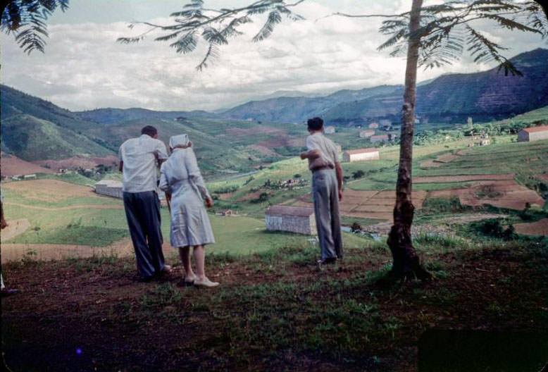 Toa Alta. Toita Valley from cliff road, tobacco barns