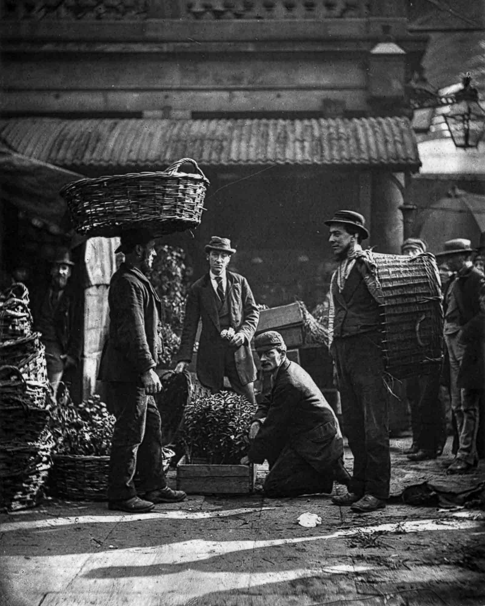 Porters with boxes of plants at Covent Garden market, 1877