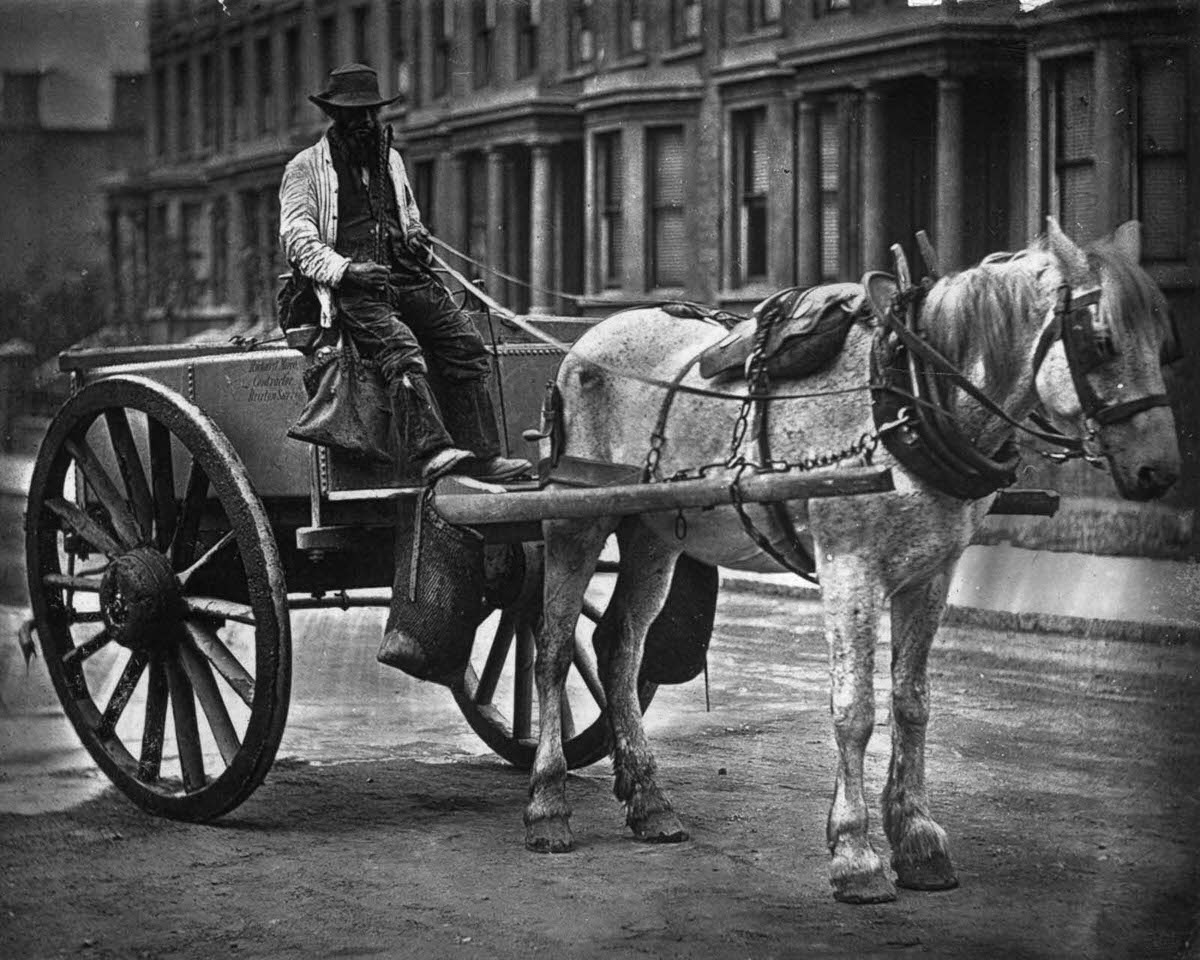 A water cart, 1877.