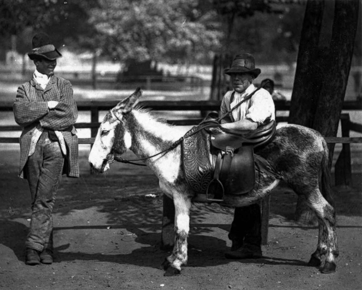 A man waits for fatigued or adventurous promenaders in a London common to approach him for a donkey ride, 1877.