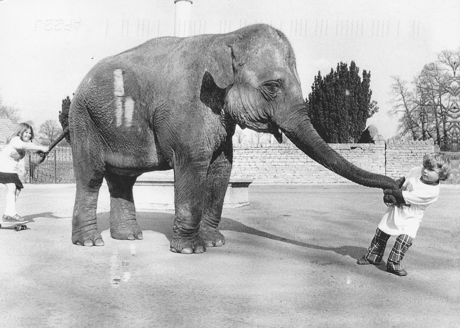 Lovely Photos of Little Girl and Her Best Friend Elephant, 1980s