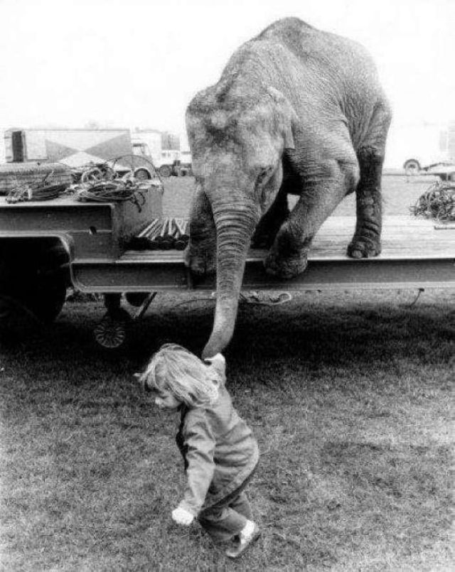 Lovely Photos of Little Girl and Her Best Friend Elephant, 1980s